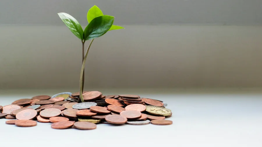 Gestió de finances i pressupostos familiars